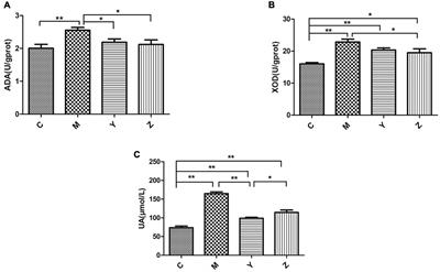 Folic acid and zinc improve hyperuricemia by altering the gut microbiota of rats with high-purine diet-induced hyperuricemia